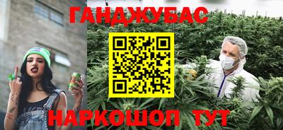 твердый Бийск