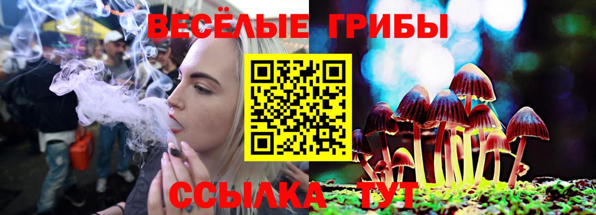 LSD-25  Вход с VPN  COCAIN  ТГК  МЕФ   Конопля  A PVP СОЛЬ кристаллы  Зеленокумск  Метамфетамин  ГАШ 