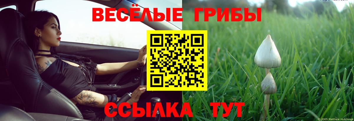 Галлюциногенные грибы Cubensis  Псилоцибиновые грибы Psilocybine cubensis  где найти   Вход с VPN  Зеленокумск 